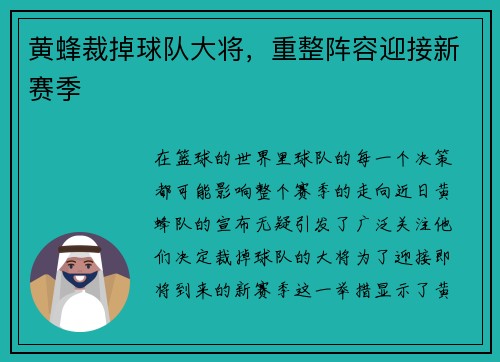 黄蜂裁掉球队大将，重整阵容迎接新赛季