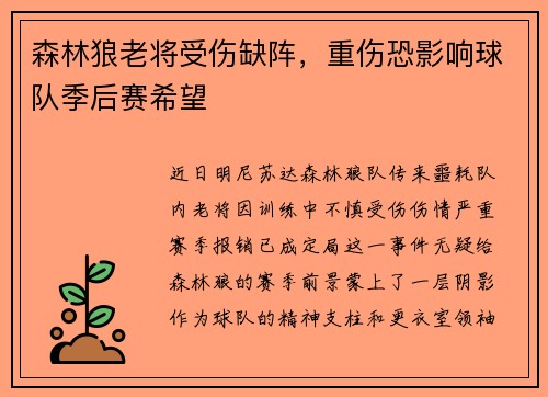 森林狼老将受伤缺阵，重伤恐影响球队季后赛希望