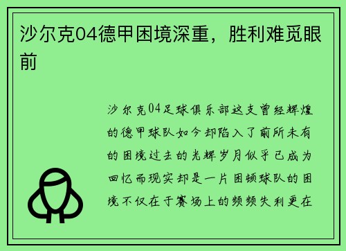 沙尔克04德甲困境深重，胜利难觅眼前