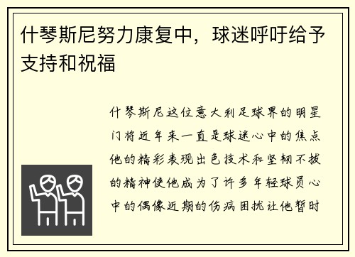 什琴斯尼努力康复中，球迷呼吁给予支持和祝福